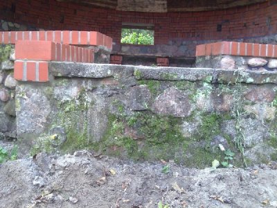 Mur przed wykonaniem czyszczenia - liczne glony
